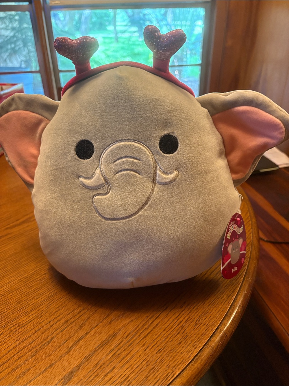 Assorted Cute Squishmallow - Elephant, Sea Cucumber, Armadillo & Cheshire Cat - Picture 3 of 6
